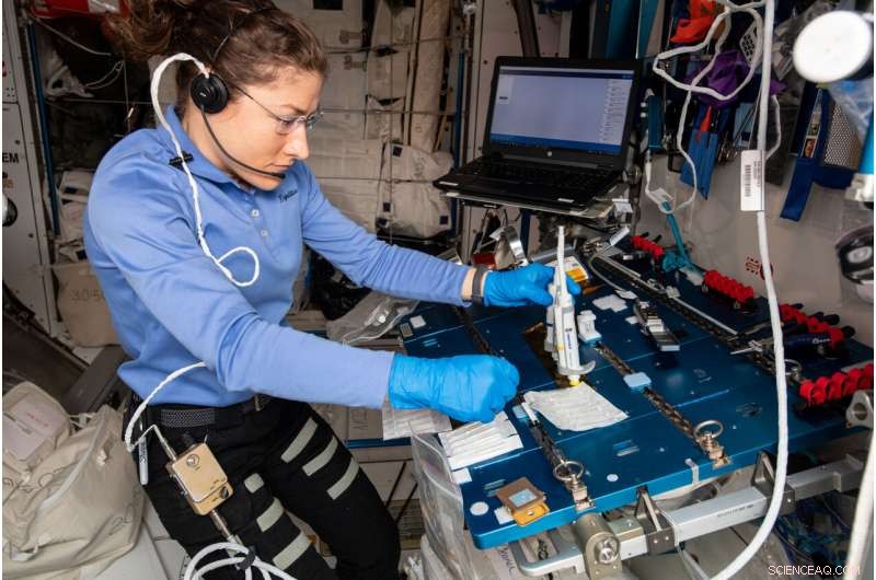 CRISPR-Driven DNA Repair Study on ISS Enhances Space Exploration Safety