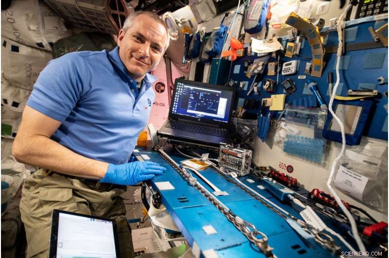 CRISPR-Driven DNA Repair Study on ISS Enhances Space Exploration Safety