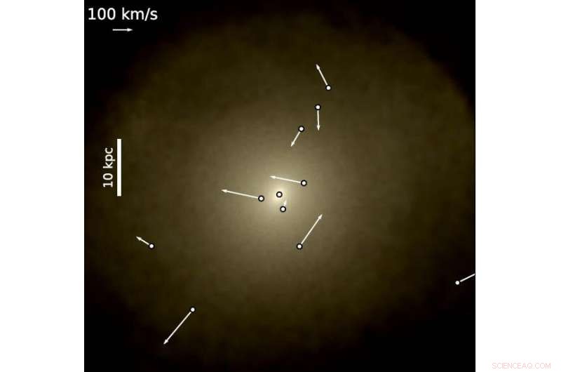 Wandering Black Holes: Unveiling Their Journey in Intermediate-Mass Galaxies