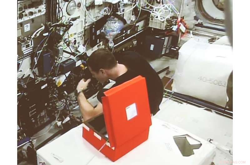 Advanced Radiation‑Detecting Fibers Launched aboard the ISS