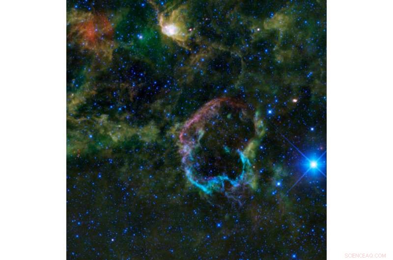 XMM-Newton Uncovers Overionized Plasma Origins in Supernova Remnant IC 443