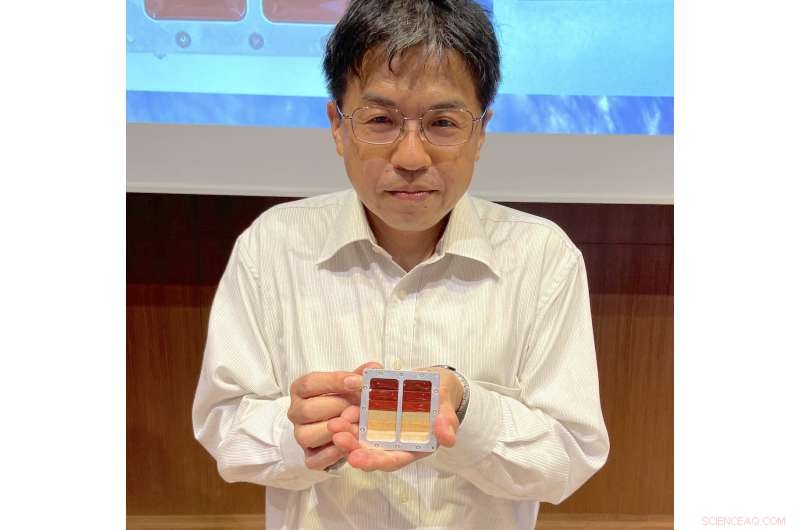 Exploring Wood: The New Frontier in Space Construction