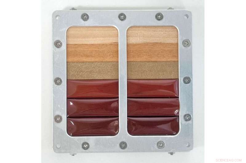 Exploring Wood: The New Frontier in Space Construction