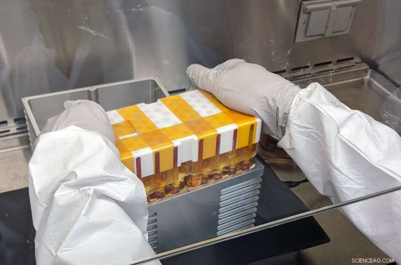 Growing Miniature Human Tissue on the ISS: UZH and Airbus Organoids in Space Experiment