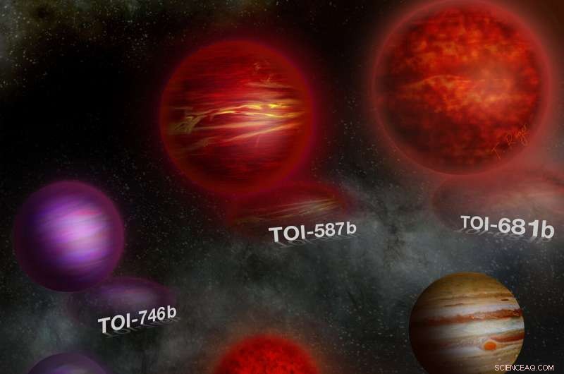 Exploring Brown Dwarfs: Bridging the Gap Between Planets and Stars
