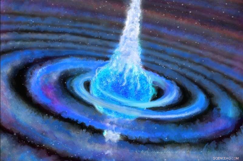 Stellar Collision Reveals Black Hole–Induced Supernova Explosion