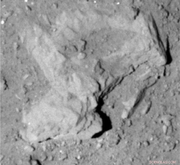 Hayabusa2 Reveals Ryugu’s Dust and Rock Distribution Under Opposite Lighting