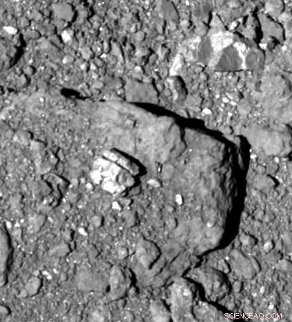 Hayabusa2 Reveals Ryugu’s Dust and Rock Distribution Under Opposite Lighting