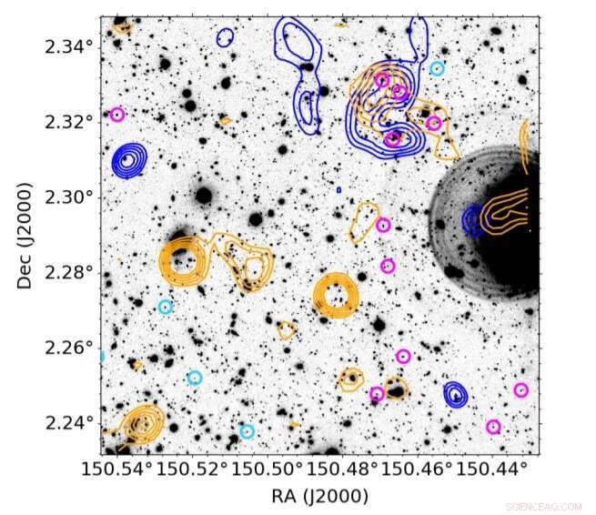 Astronomers Unveil Insights into Distant Galaxy Protocluster PHz G237.01+42.50