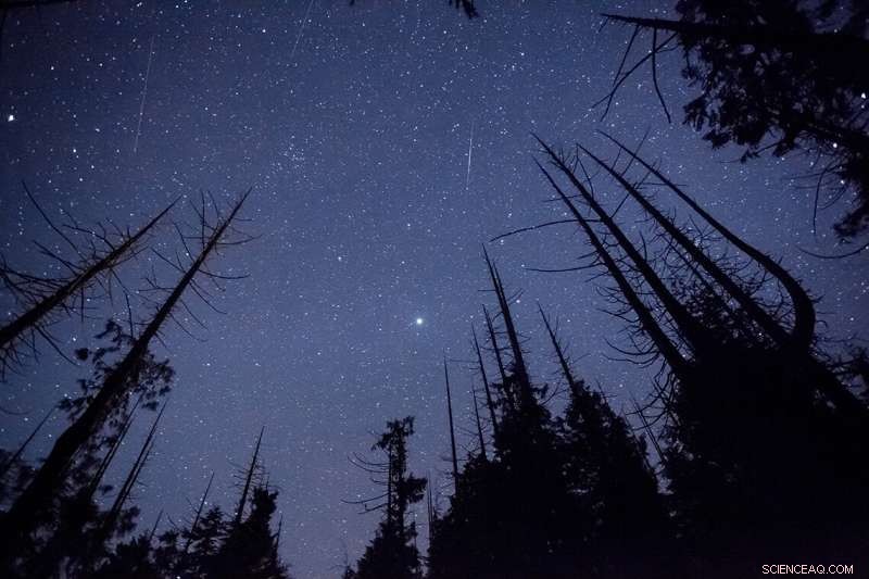 Canada s Skies to Be Flooded with Thousands of Internet Satellites—Understanding the Light Pollution Impact