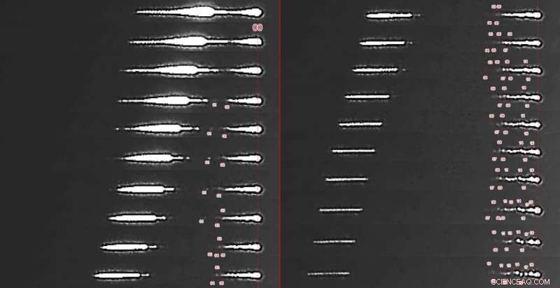 Dashcam Footage Helps Recover Meteoritic Rocks After Fireball Over Slovenia