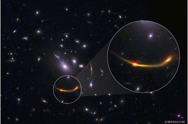 Unveiling How Early Massive Galaxies Thrive on Sparse Fuel