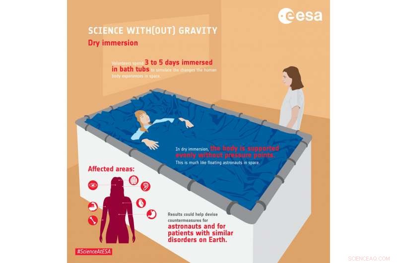 All‑Female Team Undergoes 5‑Day Water Immersion to Simulate Spaceflight Effects