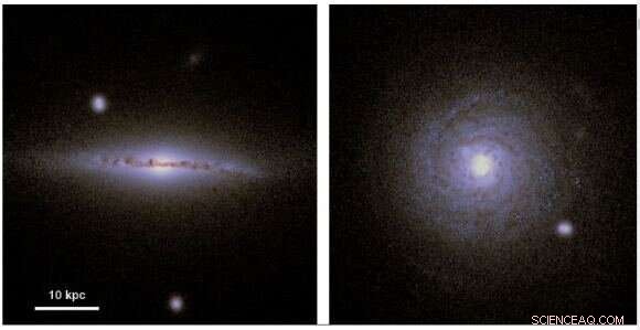 Can Life Naturally Traverse an Entire Galaxy? Insights from a Milky Way‑Like Simulation