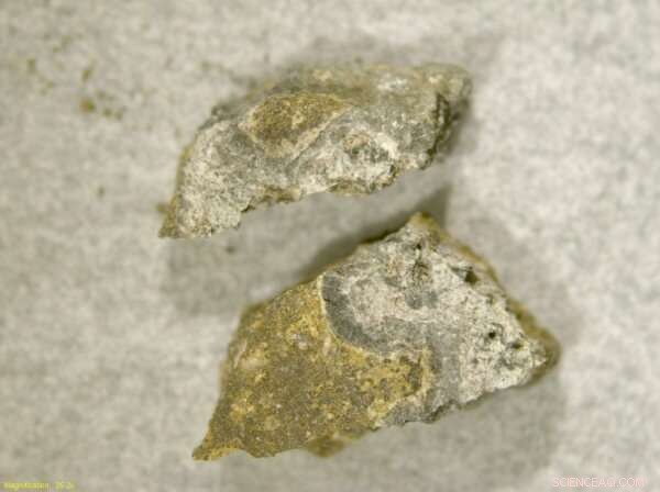 Expanded Solar Nursery Unveils Origins of the Solar System’s First Solids