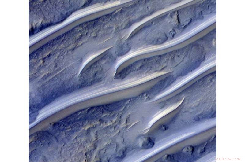 How Martian Dunes Reveal Wind Patterns – A Comparative Study with Earth