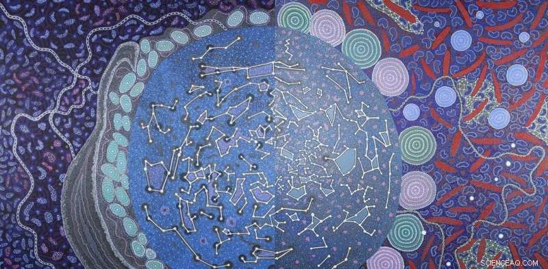 Documenting Indigenous Night Sky Stories: A Scientist s Journey to Broader Insight