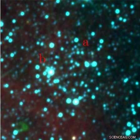 Astronomers Discover NGC 1605 Is an Ancient Binary Open Cluster