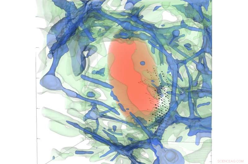 Valencia University Study Reveals New Insights into Cosmic Void Formation and Universal Evolution