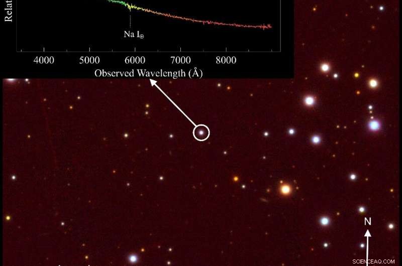 Unveiling the Hidden Identity of Gamma‑Ray Sources: Blazars Dominate the Sky