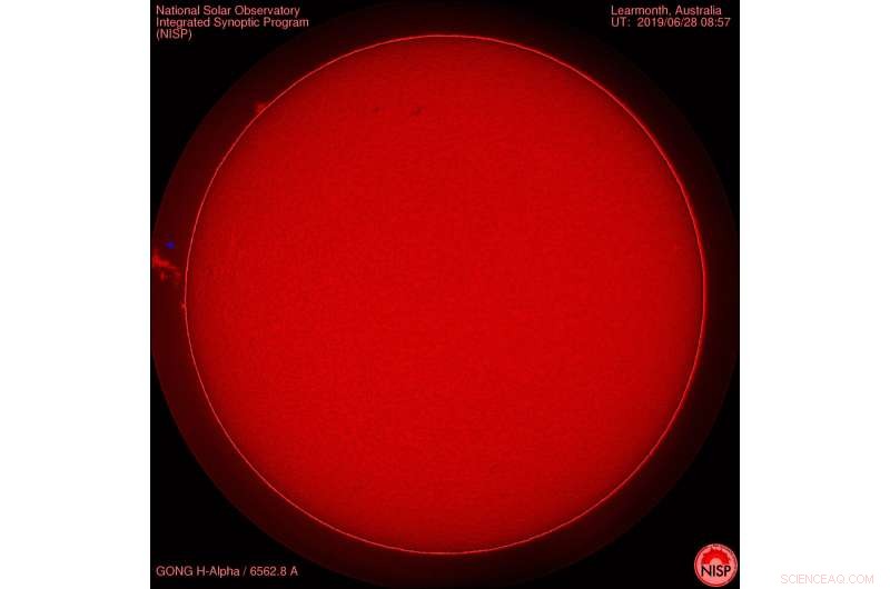 How the Sun s Magnetic Fields Shape Solar Prominences