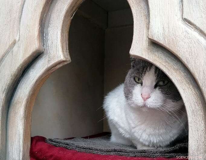 Google Deploys Quantum Computing at Santa Barbara Lab: Pioneering the Future of Technology