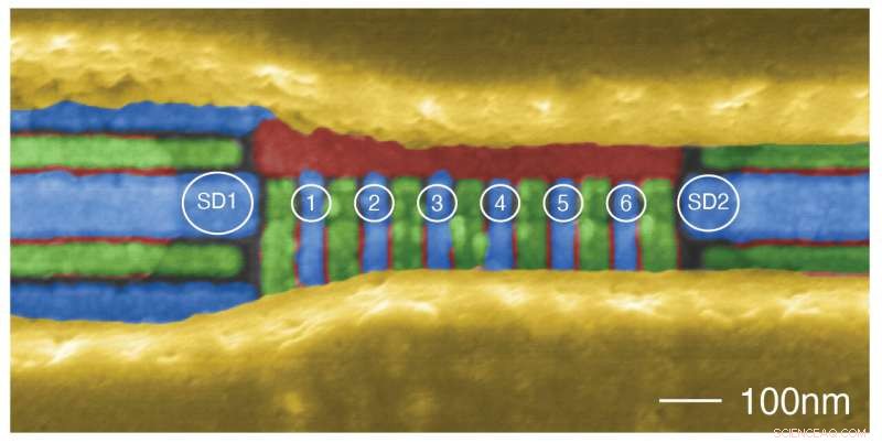 Precise Control of a Six-Qubit Silicon Quantum Processor