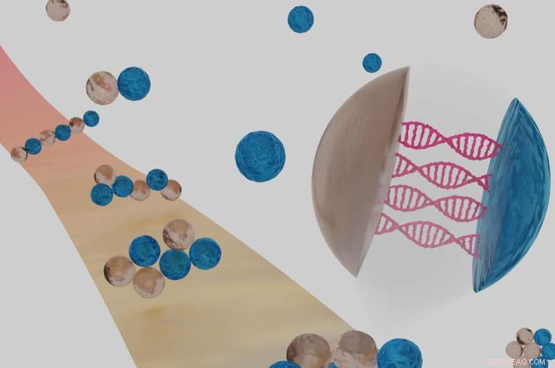 Physicists Leverage Biological Principles to Elevate Self-Assembly Technologies