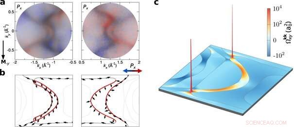 Revealing a Novel Spin‑Resolved Fermi Arc in 2‑Layer Fe/W(110) 2D Topological Material