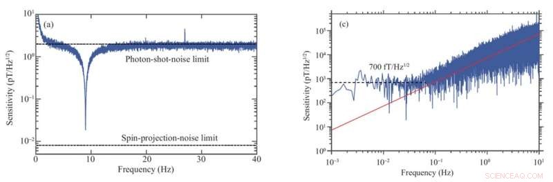 Noble‑Gas Spin Amplification via Spin‑Exchange Collisions: Experimental Confirmation and Frequency‑Response Analysis