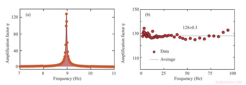 Noble‑Gas Spin Amplification via Spin‑Exchange Collisions: Experimental Confirmation and Frequency‑Response Analysis