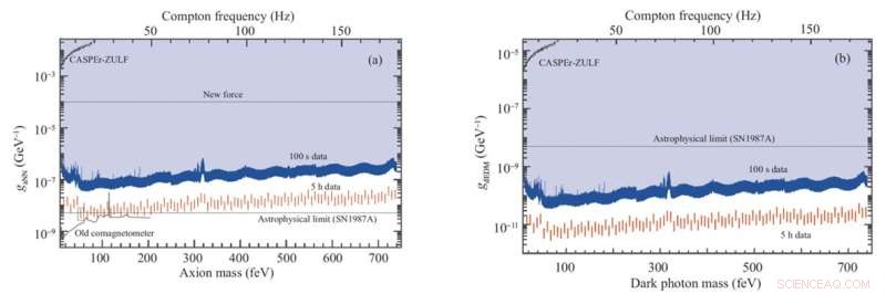 Noble‑Gas Spin Amplification via Spin‑Exchange Collisions: Experimental Confirmation and Frequency‑Response Analysis