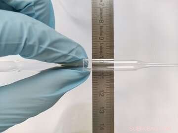 Pioneering Single-Crystal Organometallic Perovskite Optical Fibers