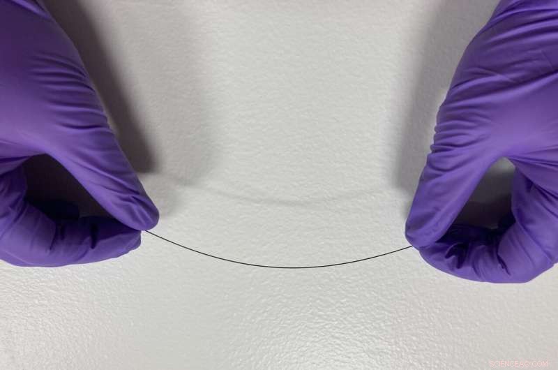 Revolutionary Endoscope with Bendable GRIN Lens Captures 3D Microscopy Images