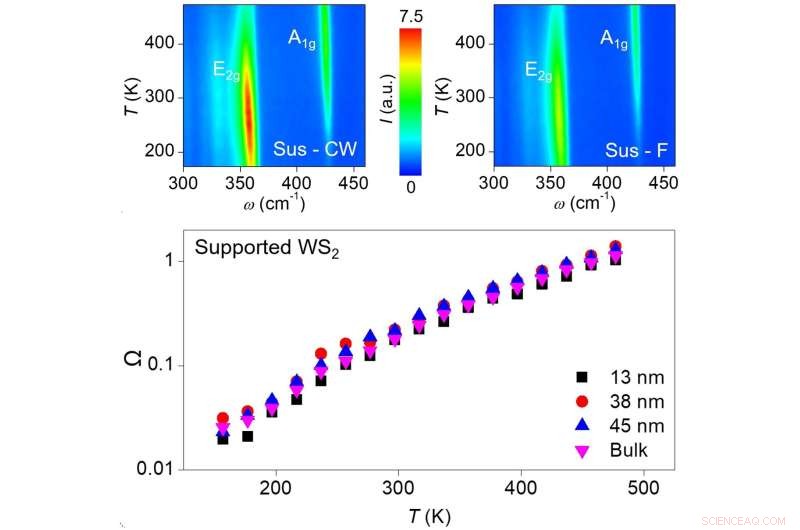 Resonance Raman Scattering Enables Highly Sensitive Temperature Probing in WS₂