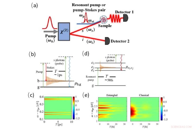 Quantum-Enhanced Coherent Raman Spectroscopy: Achieving Super-Resolution with Entangled Photons