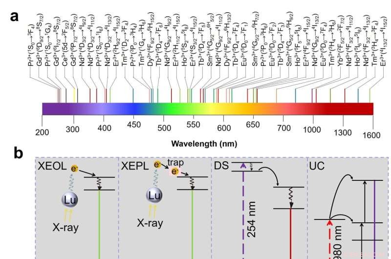 Lanthanide Doping: Advancing Next‑Generation Imaging Technologies