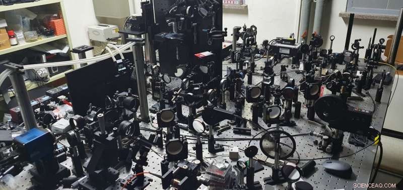 Revolutionary Holographic Microscope Enables Non-Invasive Imaging of the Mouse Brain