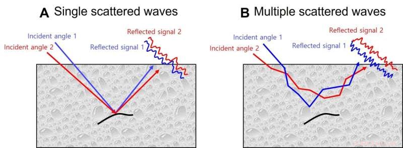 Revolutionary Holographic Microscope Enables Non-Invasive Imaging of the Mouse Brain