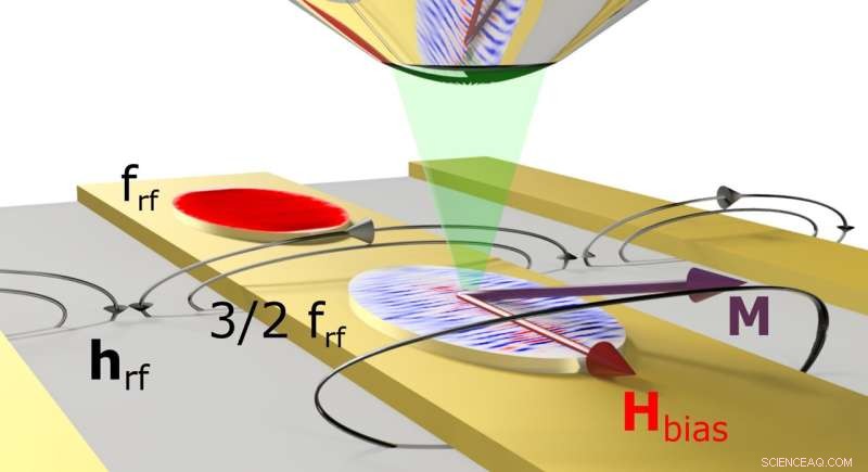 Physicists Generate First Experimental Spin Waves Using Strong Magnetic Fields