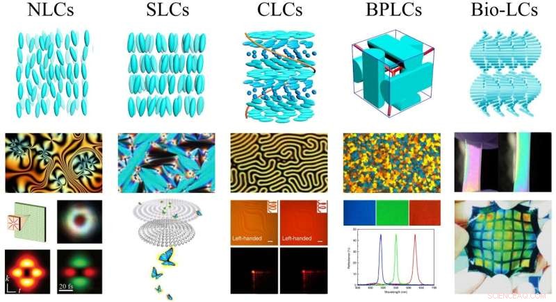 Advanced Self-Assembled Liquid Crystal Architectures for Soft-Matter Photonics