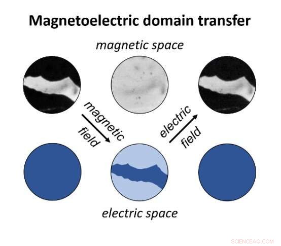 First-Ever Transfer of Magnetic Domain Patterns into Ferroelectric Space