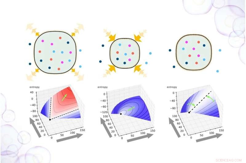 Unveiling Thermodynamics: Japan s Geometric Approach to Life s Energy Laws