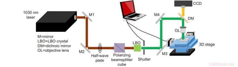 Liquid‑Interface Assisted SERS Enables Early, Label‑Free Detection of Alzheimer’s Biomarkers