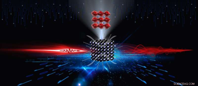 Coherent Quantum Beating in Perovskite Quantum Dots Triggered by Lattice Distortion