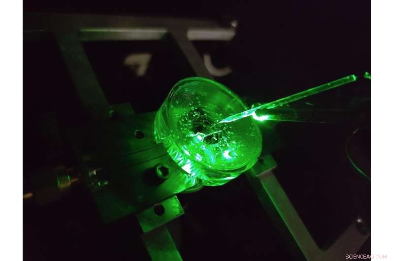 Diamond-Based Voltage Imaging Microscope: Unveiling Neural Secrets