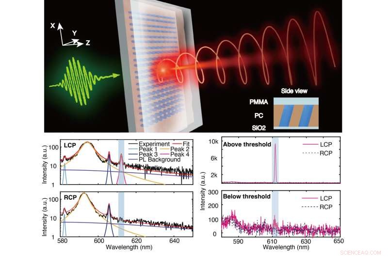 Ultra‑Compact Circularly Polarized Light Source via Chiral Quasi‑Bound States in the Continuum