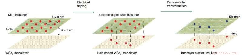 Excitonic Insulators Observed in Moiré Superlattices: New Quantum Phenomenon