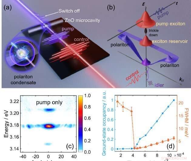 Ultrafast Optoelectronic Switching via Bose-Einstein Condensate of Polaritons in ZnO Microwires