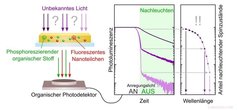 Revolutionary Organic Thin‑Film Sensors for Precise Light‑Source Analysis & Counterfeit Prevention